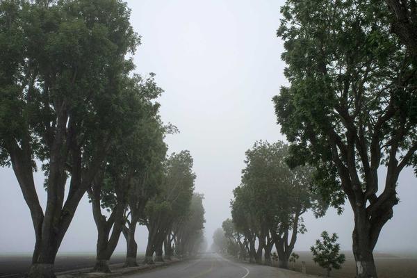 Classe energetica A+++ — guida ai consumi reali